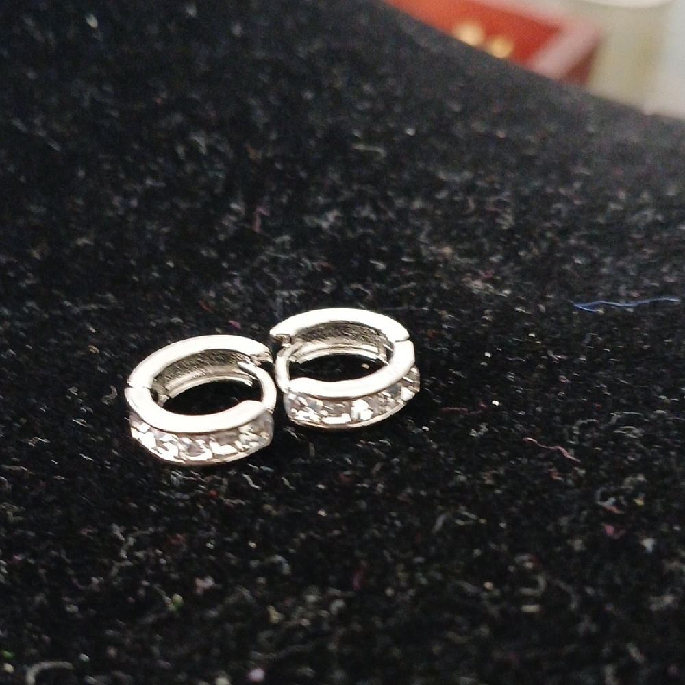 Elegant Silver Hoop Earrings